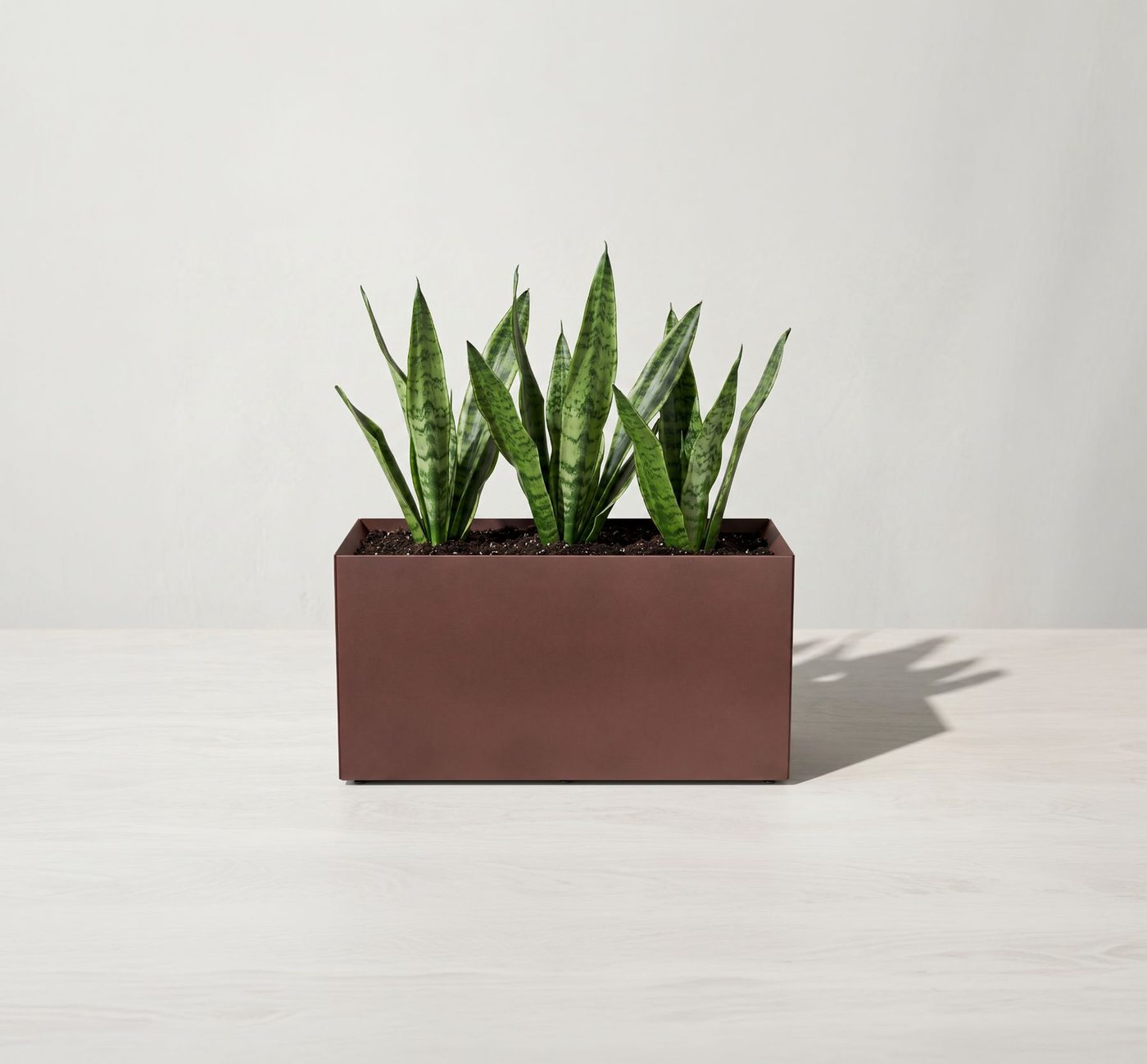 Fioriera Metal Flower rettangolare con pianta sansevieria
